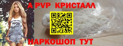 стафф Моздок