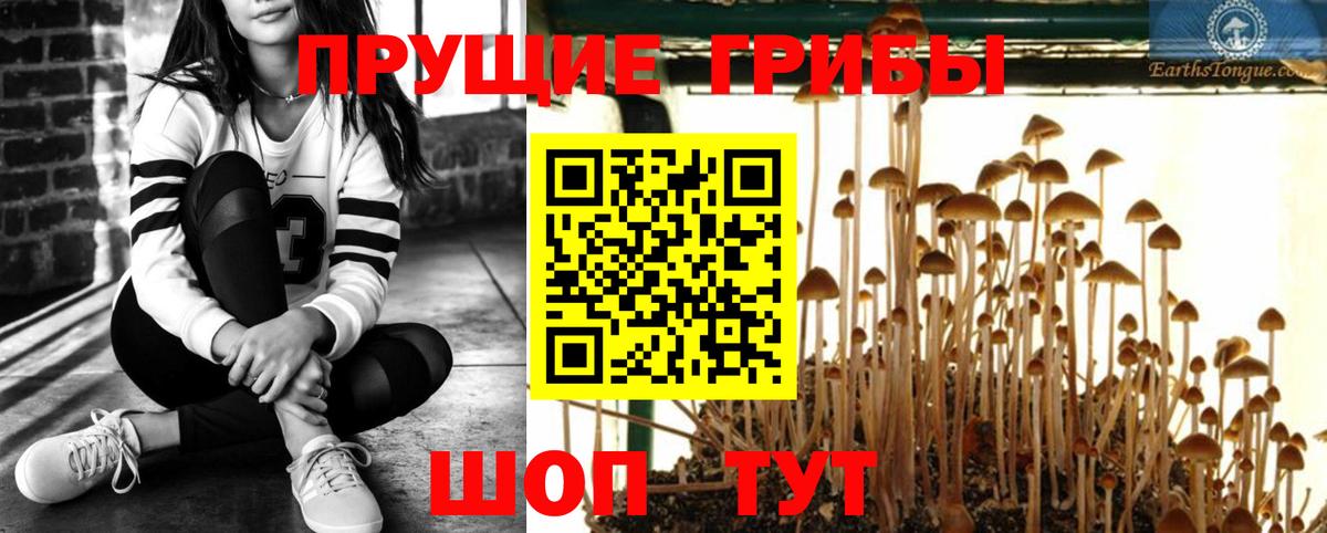 Галлюциногенные грибы мицелий Великие Луки