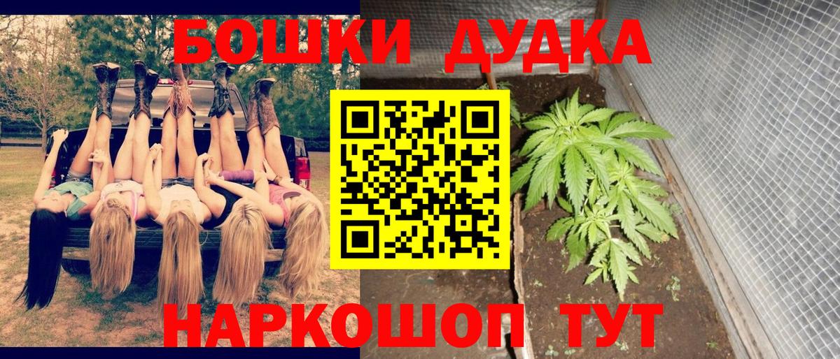Канабис OG Kush Великие Луки